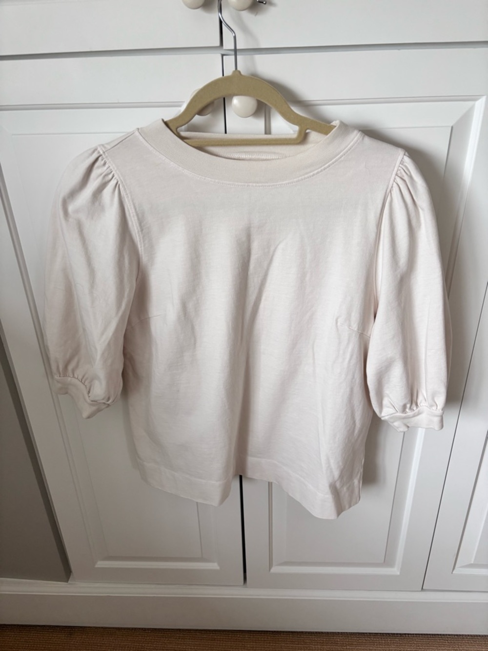 Velvet Puff Sleeve Crewneck Top in Cream